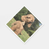 Serviette En Papier Apricot Poodle personnalisable (Coin)