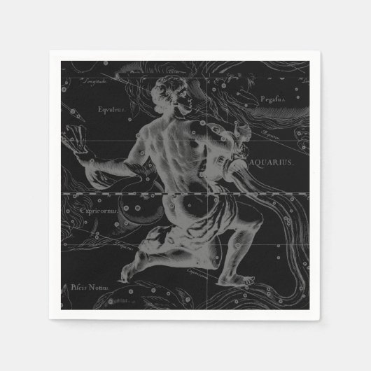 Serviette En Papier Aquarius Constellation Hevelius 1690 sur Noir (Devant)