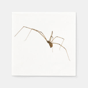 Serviette En Papier Araignée