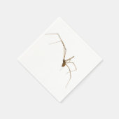 Serviette En Papier Araignée (Coin)