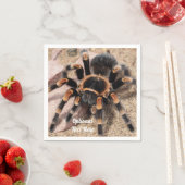 Serviette En Papier Araignée de Tarantula au genou rouge mexicain (En situation)