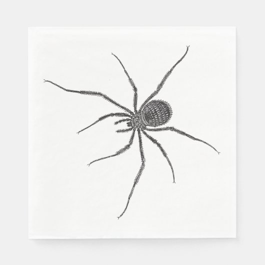 Serviette En Papier Araignée longue jambe (Devant)
