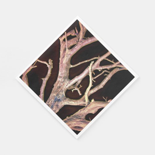 SERVIETTE EN PAPIER ARBRE (Coin)