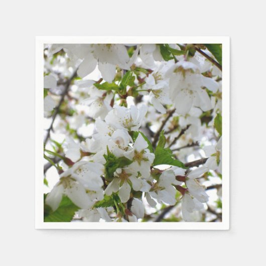 Serviette En Papier Arbre à fleurs blanches (Devant)