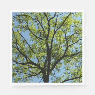 Serviette En Papier Arbre de chêne printanier vibrant dans la nature