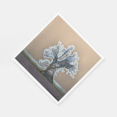 SERVIETTE EN PAPIER ARBRE LONE (Coin)