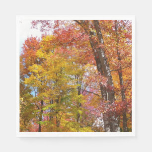 Serviette En Papier Arbres d'automne orange et jaune Photographie d'au