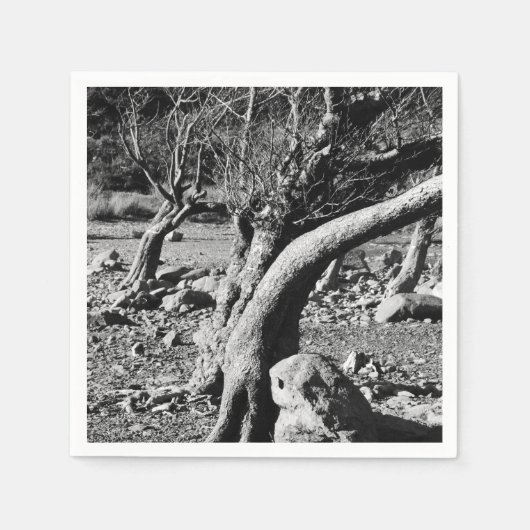 SERVIETTE EN PAPIER ARBRES NOIRS ET BLANCS (Devant)