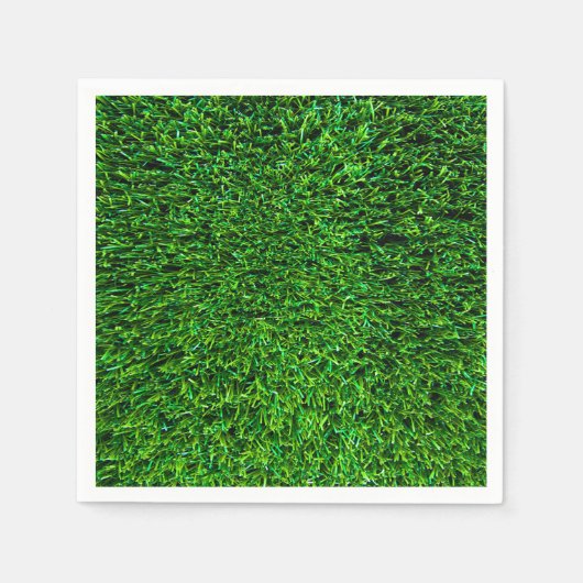 Serviette En Papier Arrière - plan vert (Devant)