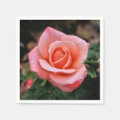 Serviette En Papier Art botanique romantique Rose Imprimer (Devant)