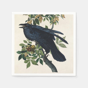 Serviette En Papier Art de la nature de l'oiseau corbeau Audubon vinta