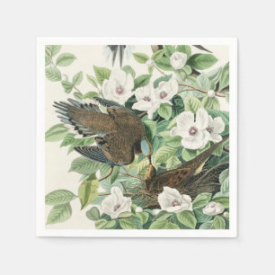 Serviette En Papier Art vintage d'Audubon sur la tourterelle triste et