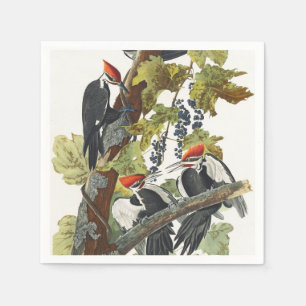 Serviette En Papier Art vintage de l'oiseau pic à tête rouge d'Audubon