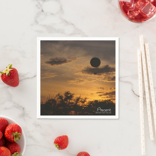 Serviette En Papier Ascent (En situation)