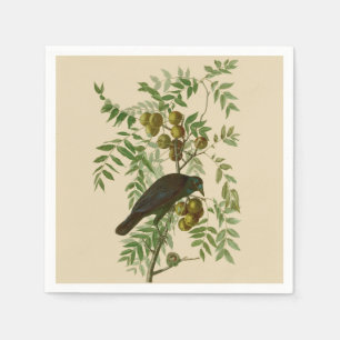 Serviette En Papier Audubon American Crow Black Bird