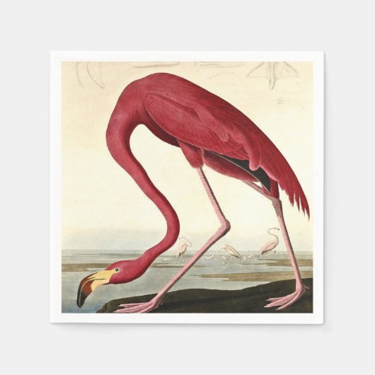 Serviette En Papier Audubon American Flamme John James Audubon (Devant)