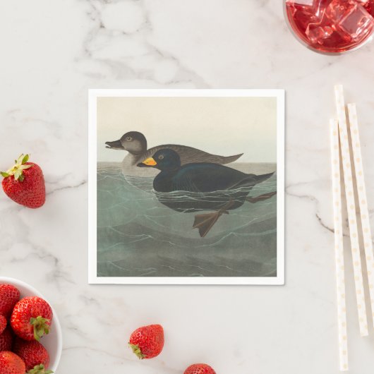 Serviette En Papier Audubon American Scoter Duck Classic (En situation)