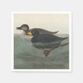 Serviette En Papier Audubon American Scoter Duck Classic (Devant)
