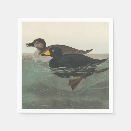 Serviette En Papier Audubon American Scoter Duck Classic (Devant)