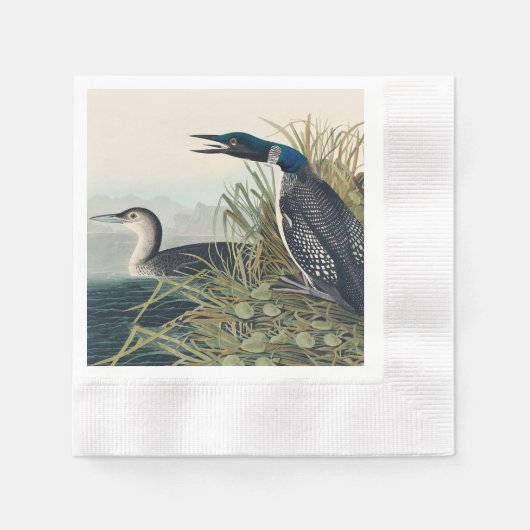 Serviette En Papier Audubon Bird Loon Diver Classic (Devant)