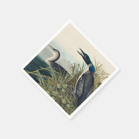 Serviette En Papier Audubon Bird Loon Diver Classic (Coin)