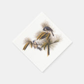 Serviette En Papier Audubon Crested Titmouse Cocktail Napkins (Coin)