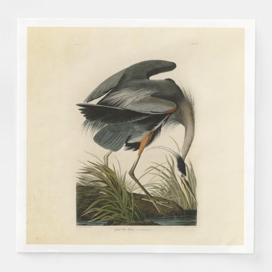 Serviette En Papier Audubon Great Blue Heron Marsh Bird (Devant)