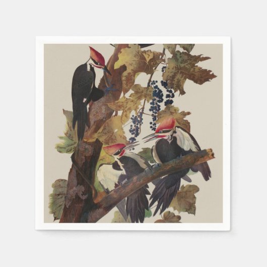 Serviette En Papier Audubon Peinture d'Oiseaux Pic Pilé (Devant)