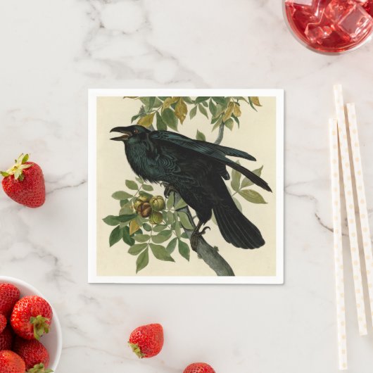 Serviette En Papier Audubon Raven Oiseau classique (En situation)