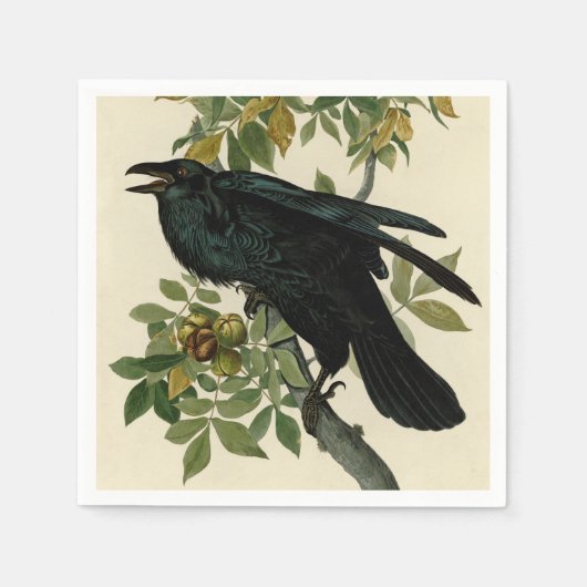 Serviette En Papier Audubon Raven Oiseau classique (Devant)