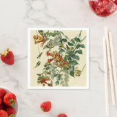 Serviette En Papier Audubon Throsé de colibri (En situation)