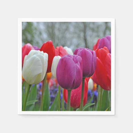 Serviette En Papier Autocollant de beauté tulipes colorées (Devant)