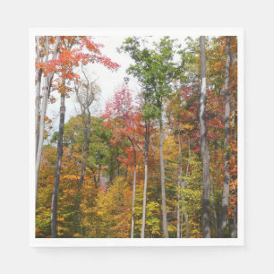 Serviette En Papier Automne dans la forêt Colorée Photographie d'autom