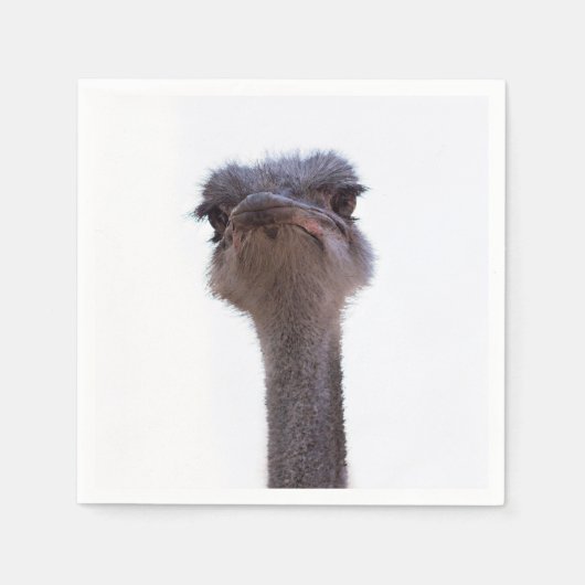 Serviette En Papier Autruche Oiseau (Devant)