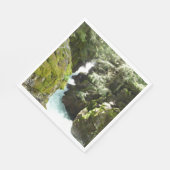 Serviette En Papier Avalanche Gorge II at Glacier National Park (Coin)