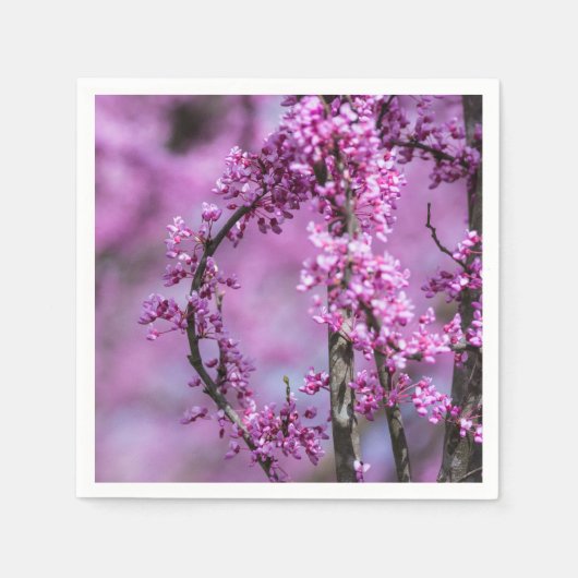 Serviette En Papier Avondale Redbud Art (Devant)