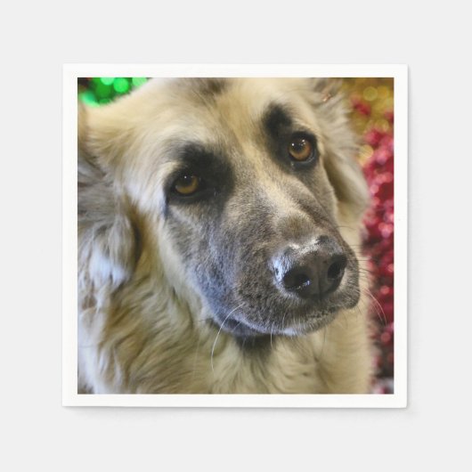 Serviette En Papier Aww (Devant)