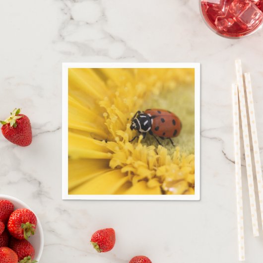 Serviette En Papier Bague (En situation)