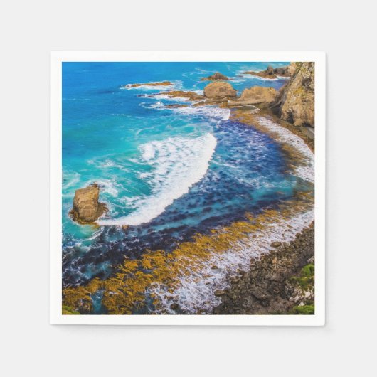 Serviette En Papier Baie De Roaring À Nugget Point (Devant)