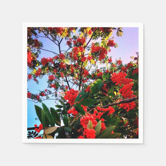 Serviette En Papier Baies rouges (Devant)