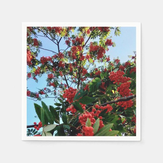 Serviette En Papier Baies rouges (Devant)