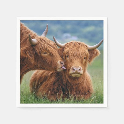 Serviette En Papier Baiser de vache des Highlands (Devant)