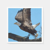 Serviette En Papier Bald Eagle décolle (Devant)