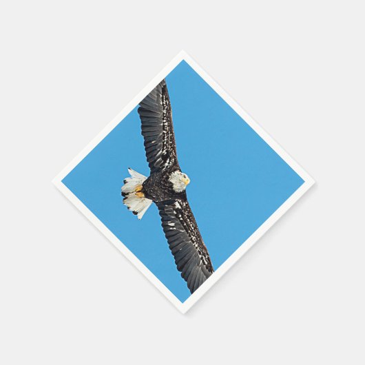 Serviette En Papier Bald Eagle en vol (Coin)
