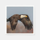 Serviette En Papier Bald Eagle en vol (Devant)