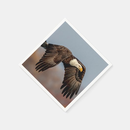 Serviette En Papier Bald Eagle en vol (Coin)