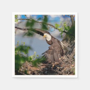 Serviette En Papier Bald Eagle quittant le nid