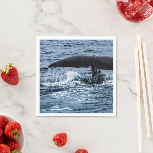 Serviette En Papier Baleine de Sperm (En situation)