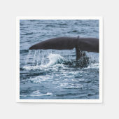 Serviette En Papier Baleine de Sperm (Devant)