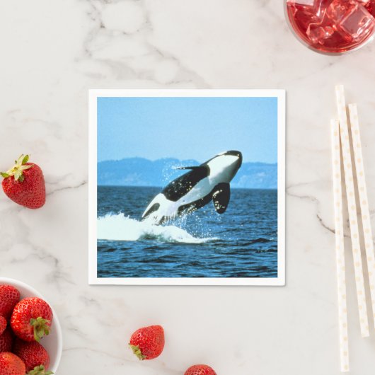 Serviette En Papier Baleine tueuse (En situation)